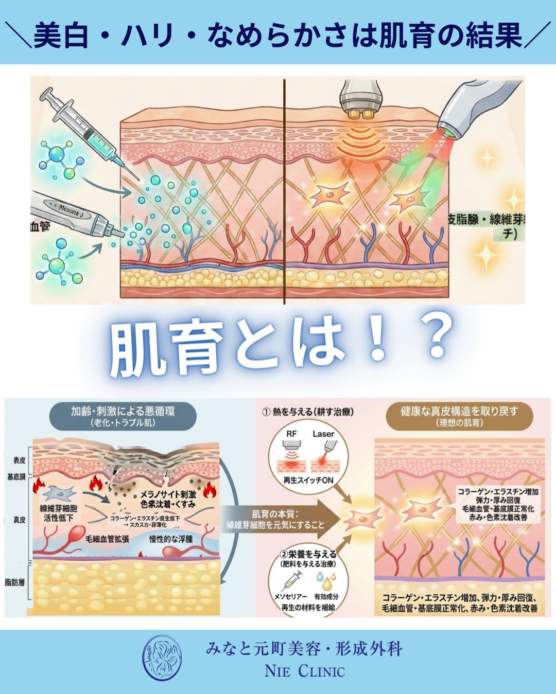 肌育と治療の考え方