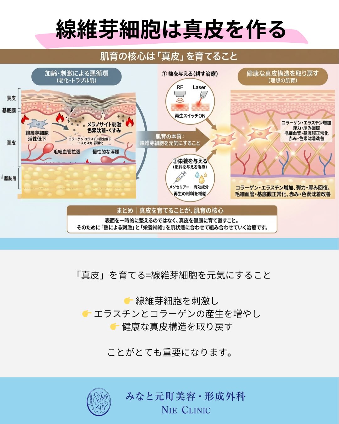 肌育と治療の考え方