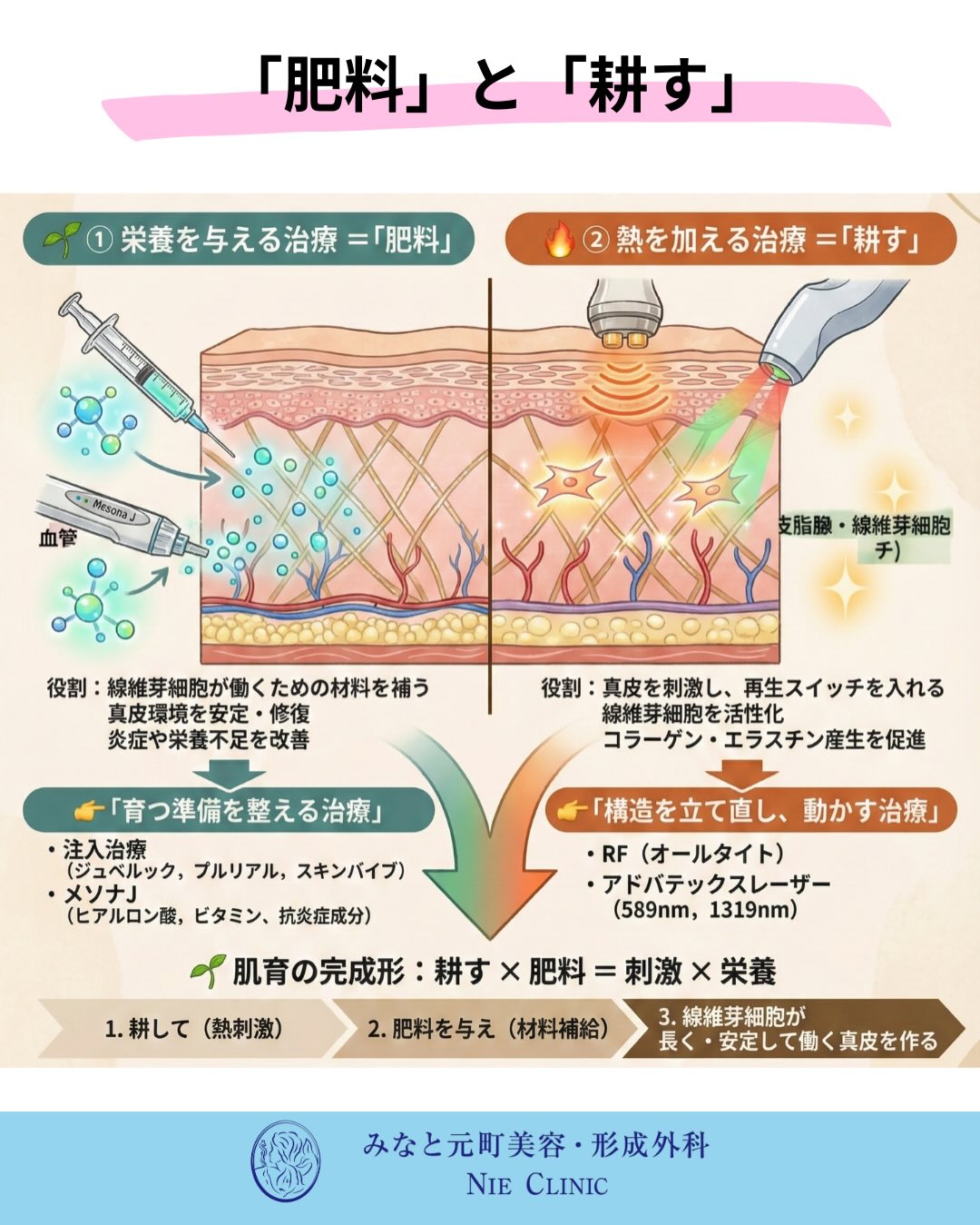 肌育と治療の考え方