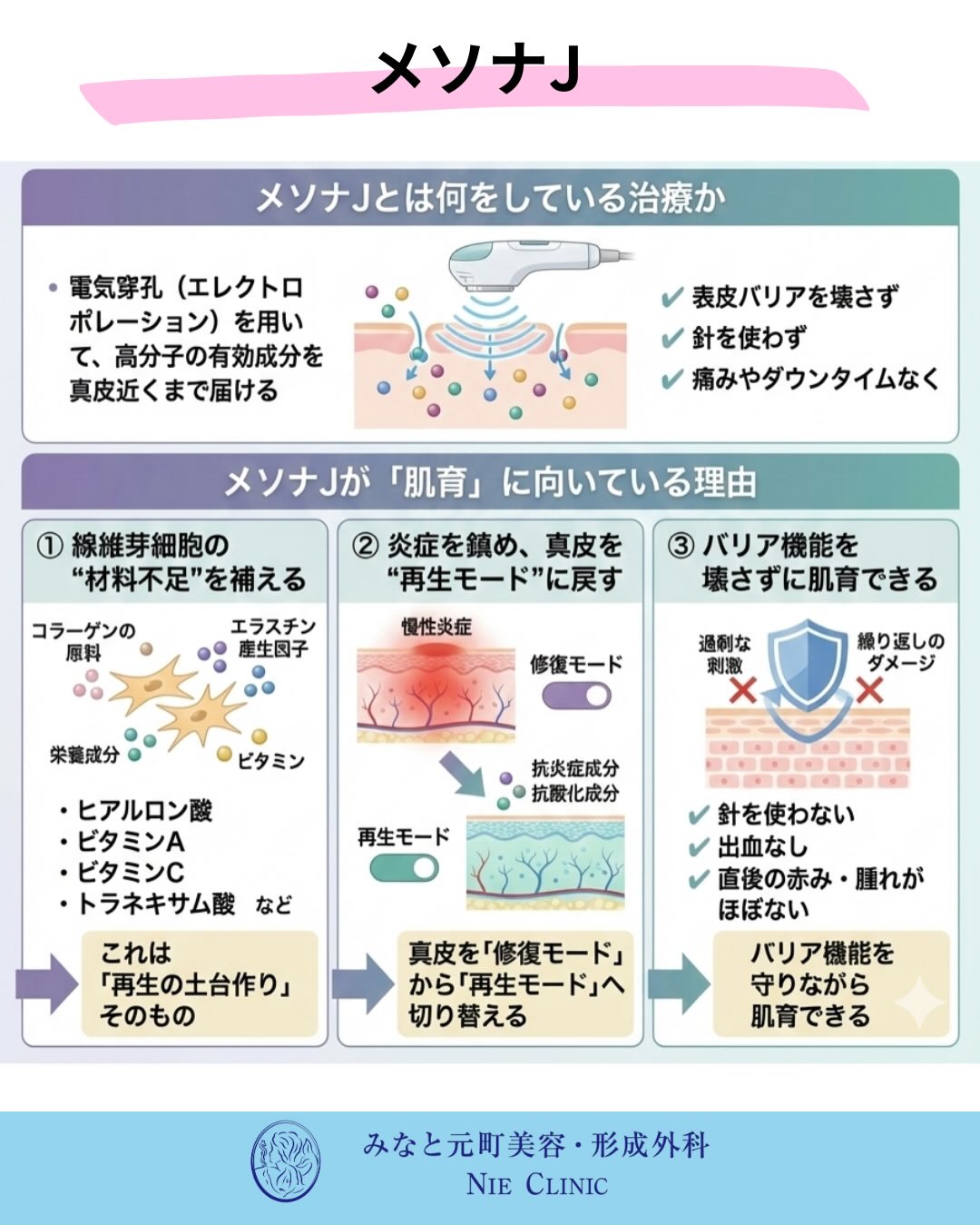 肌育と治療の考え方