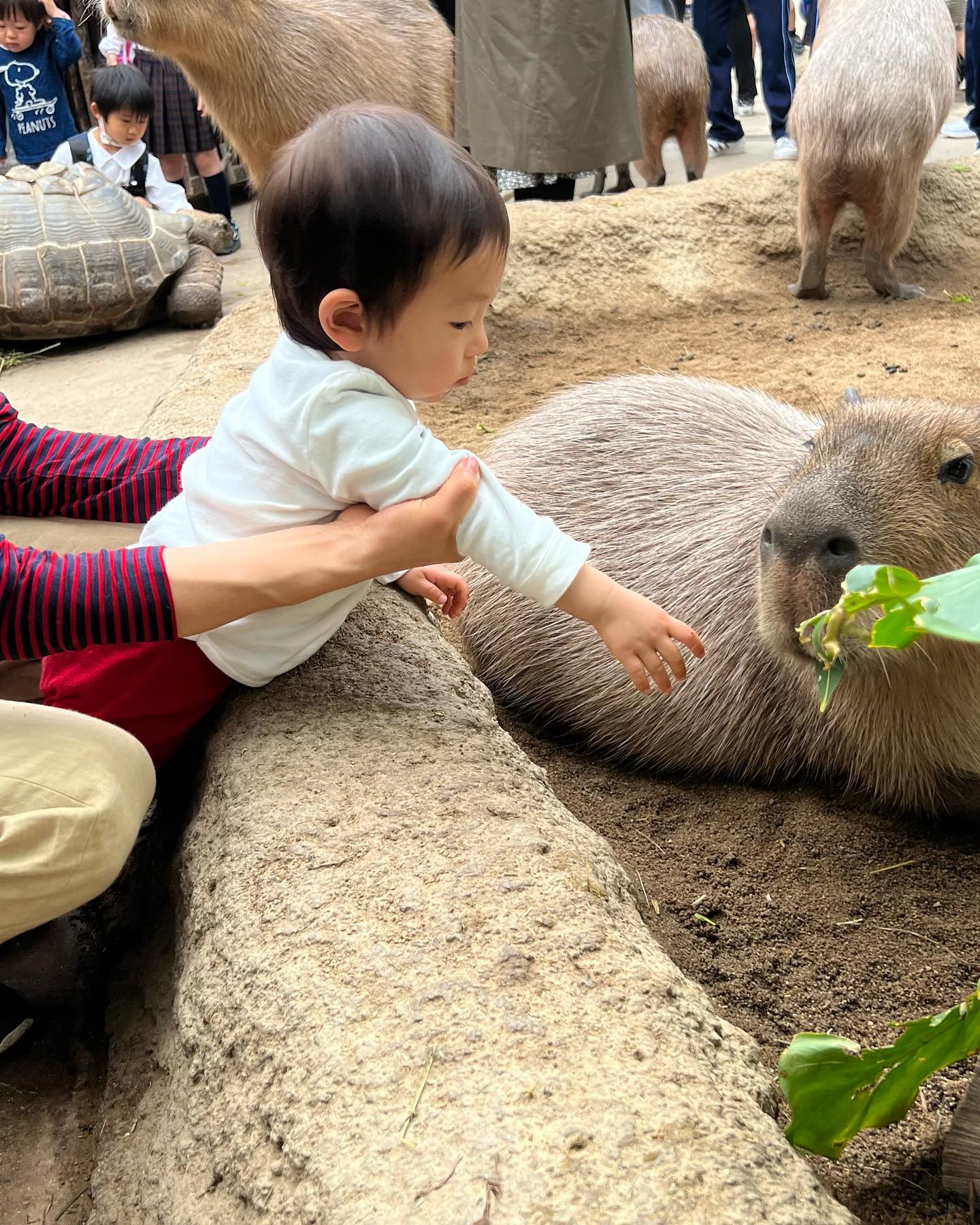 休日😃