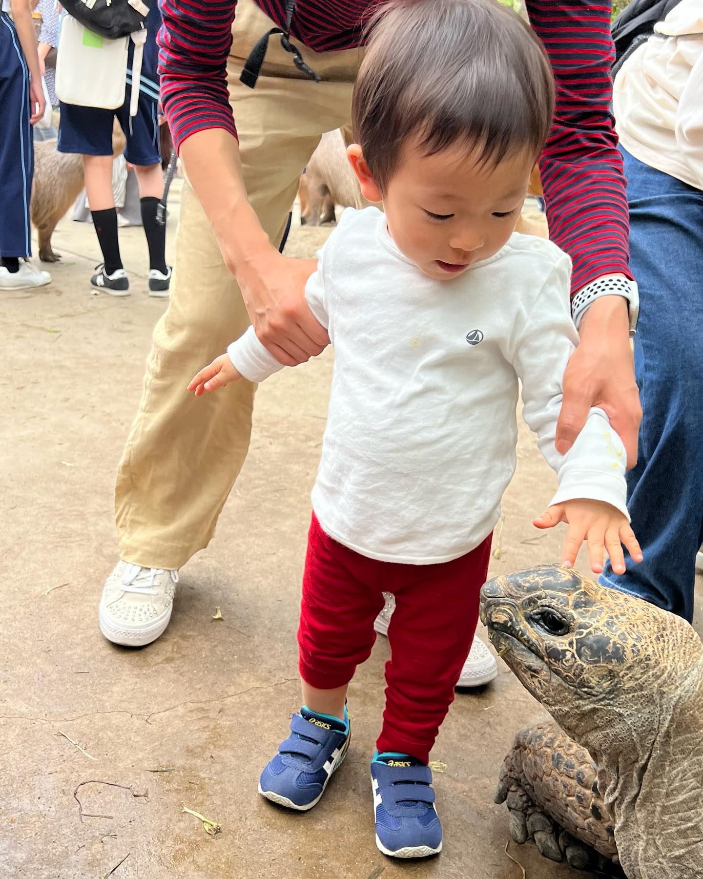 休日😃