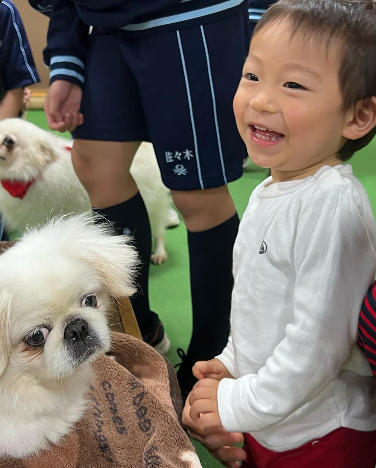 休日😃
