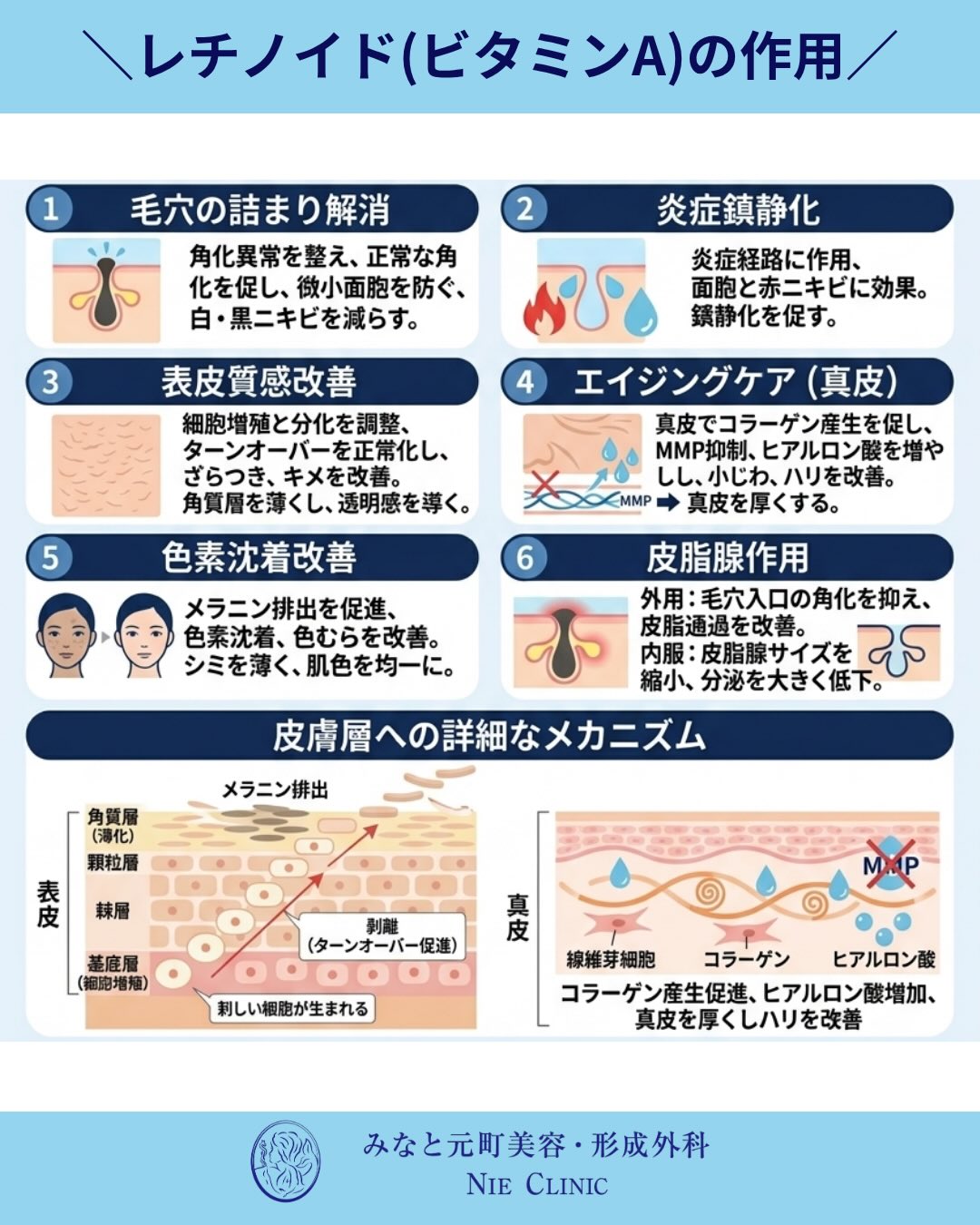 ビタミンAは、肌のターンオーバーを整え、毛穴の詰まりやニキビ、色むらを改善するだけでなく、真皮のコラーゲンやヒアルロン酸を増やしてハリや小じわもケアできる素晴らしい成分です✨