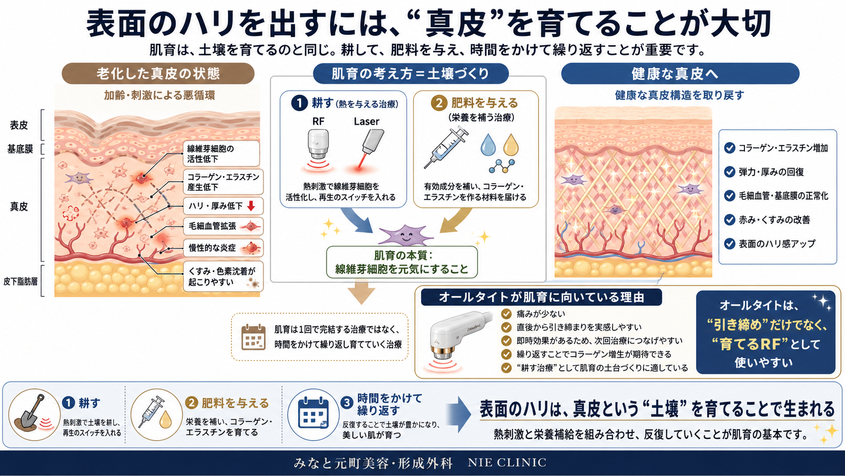 肌のハリとコラーゲンを増やす肌育の流れを示した図解