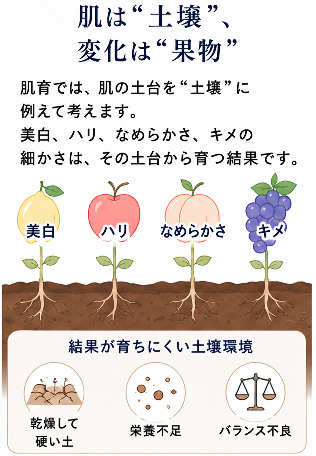 肌を土壌にたとえて肌育の考え方を示す説明図