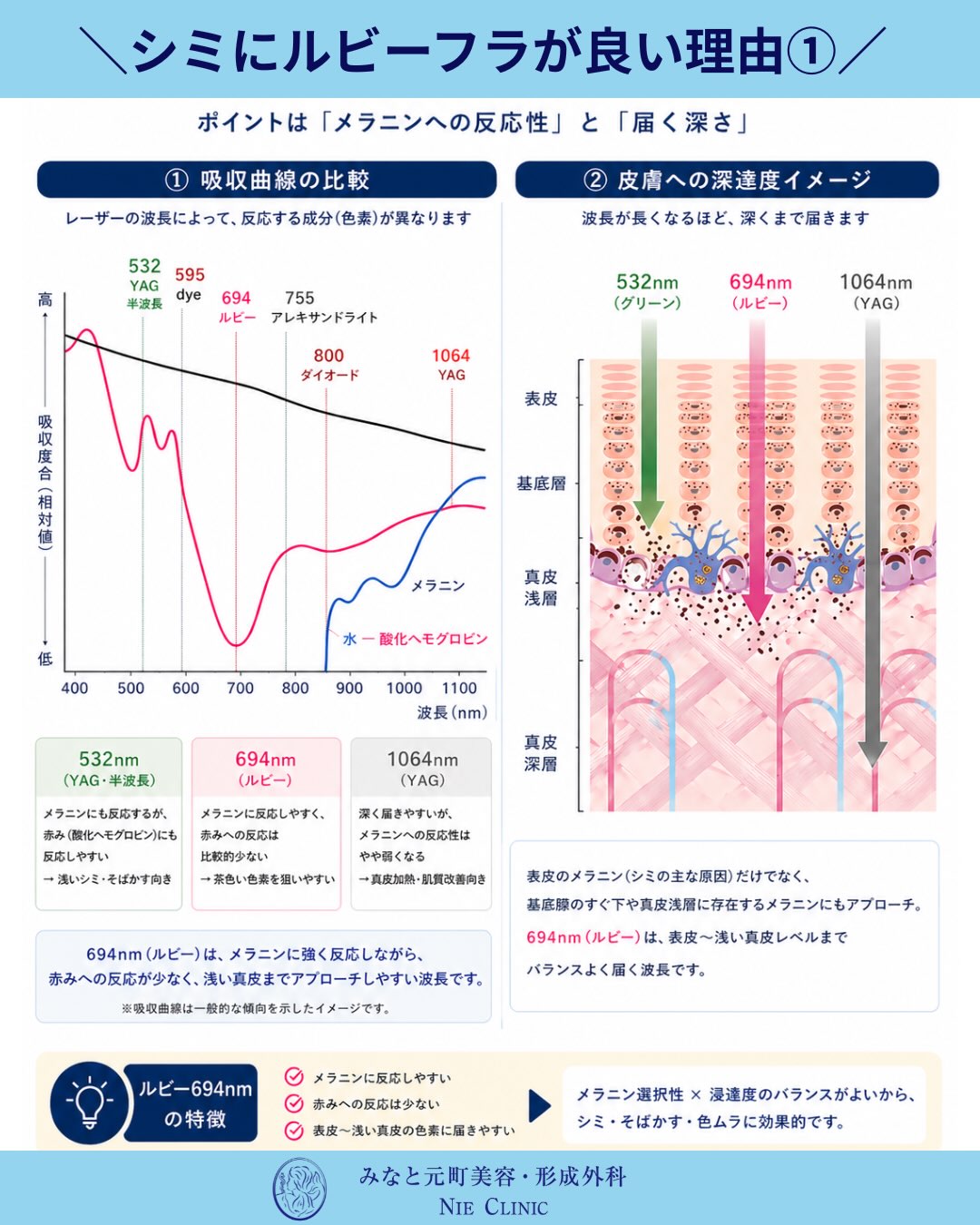 532nm・595nm・694nm・755nm・1064nmの吸収と深達度を比較する波長図